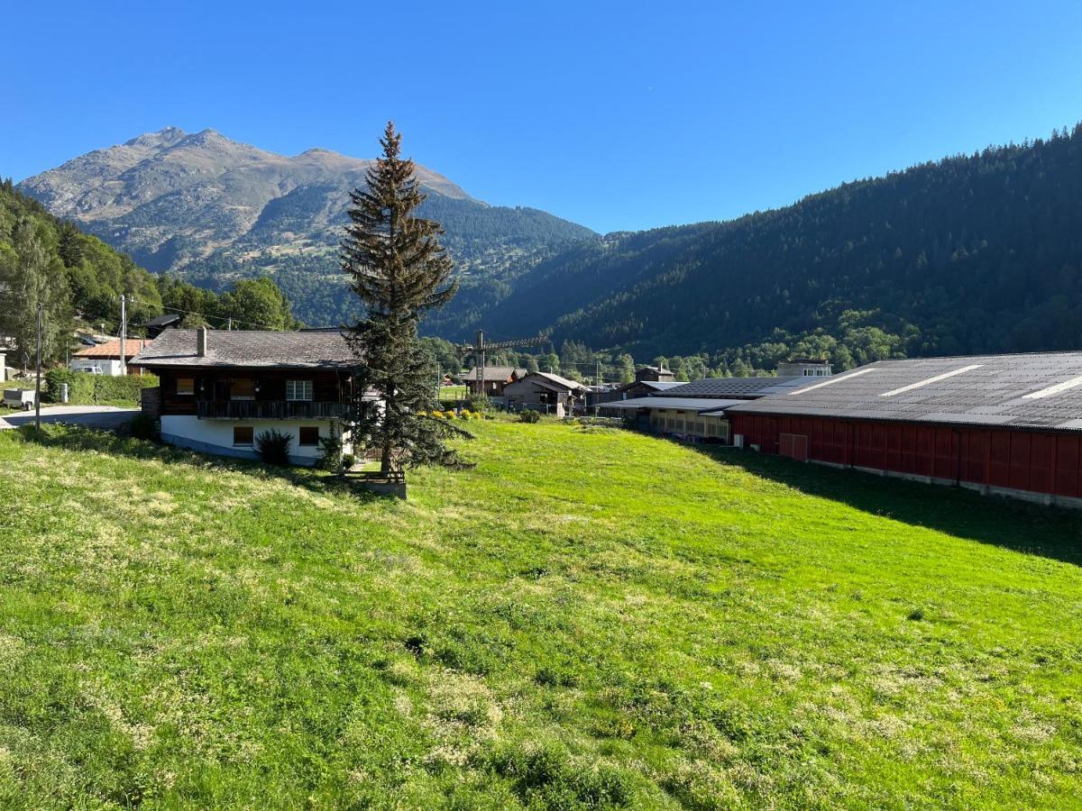 - 100m Von Der Talstation Aletsch Bahnen Und Bahnhof Fiesch, Ausgangslage Fiesch